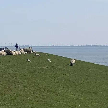 Meeresbrise 2 Apartament