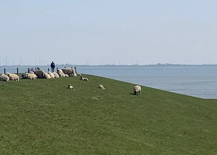 Meeresbrise 2 Apartament